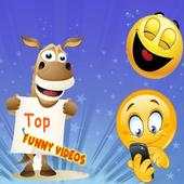 Top Funny Videos 1.5