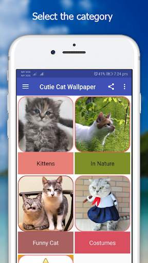 Cutie Cat Wallpaper screenshot 1