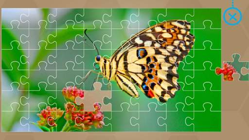 Animals for Kids - Flashcards, Puzzles & Sounds screenshot 24