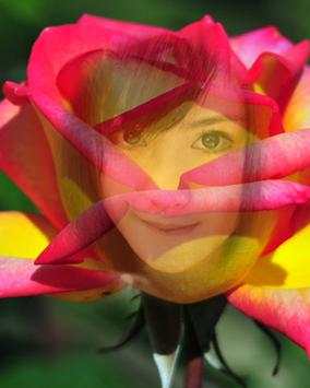 Beautiful Rose Flower Frame screenshot 1