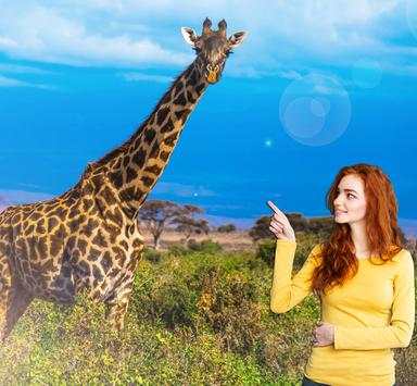 Wild Animal Photo Editor screenshot 2
