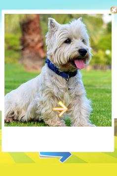 Animal Sounds - LITE screenshot 12