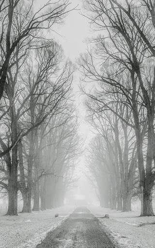 Winter Wallpapers | hd backgrounds screenshot 2