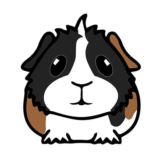 My Guinea Pigs: Reliable Pet Health Care Advice 4.9.6