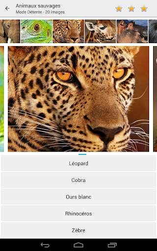 Photo Quiz - Devinez Photos screenshot 5