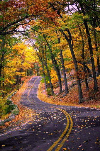 Free Jigsaw Puzzles For kids And Adults screenshot 6