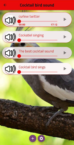 bird sound screenshot 3
