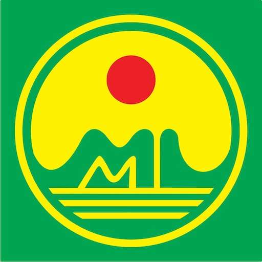 Taxi Mai Linh 228.05