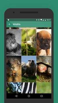 Wallpapers for Whatsapp & Co screenshot 5