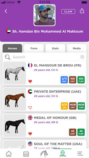 Emirates Racing Authority screenshot 8