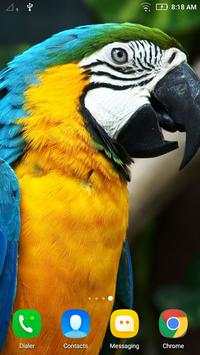 Bird Wallpaper screenshot 7