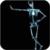 Skeleton Wallpapers 5.0