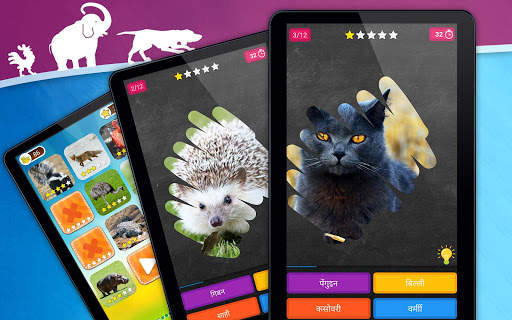 स्क्रैच कार्ड: जानवरों स्क्रीनशॉट 9