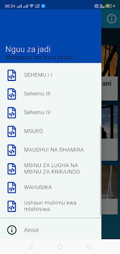 Mwongozo wa Bembea ya Maisha screenshot 4