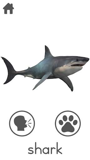 Free 100  Animal Sounds screenshot 5