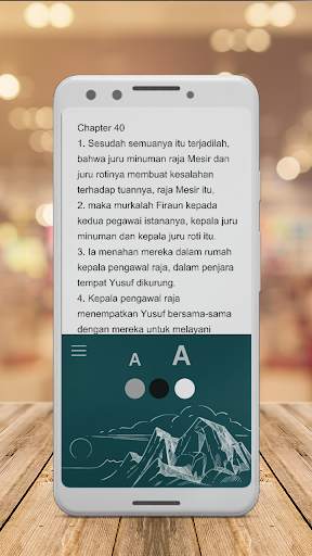 Alkitab indonesia inggris screenshot 4