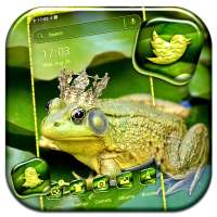 Frog King Theme on 9Apps