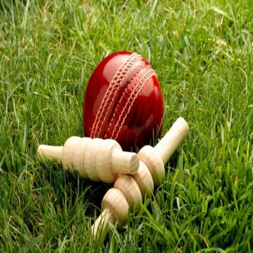 Cricket Expert icon