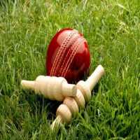 Cricket Expert logo