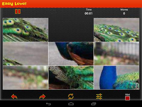 Puzzle Game: Bird Puzzle screenshot 12