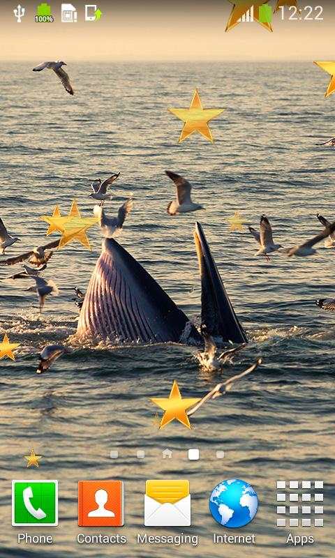 Whale Live Wallpapers  - Free Live Wallpapers screenshot 6