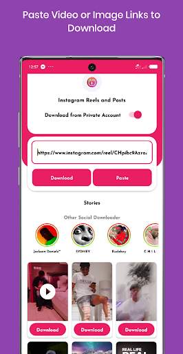 Reels Loader - Downloader for Instagram Reel screenshot 2