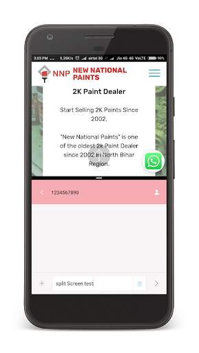 New National Paints screenshot 7