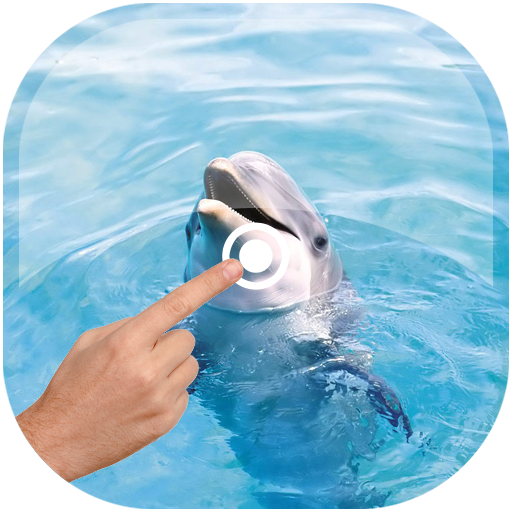 Magic Touch - Dolphin In Water icon
