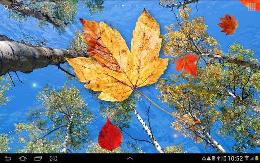 Autumn Leaves Live Wallpaper screenshot 9