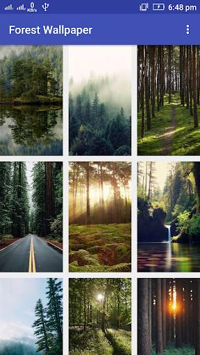 Forest Wallpaper screenshot 1