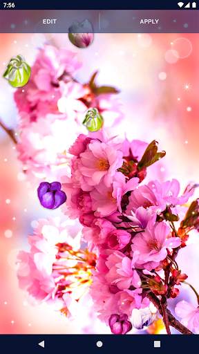 Flower Blossom Live Wallpaper screenshot 5