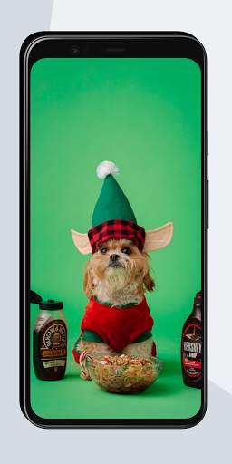 Funny Wallpapers screenshot 5