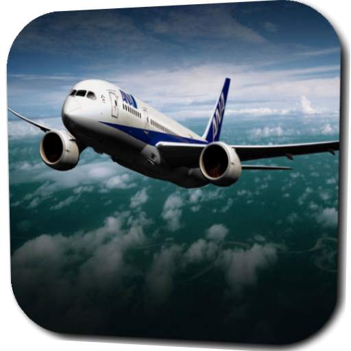 Airplane Video Live Wallpaper 3.0