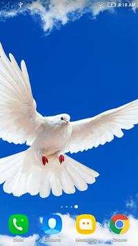 Bird Wallpaper screenshot 5