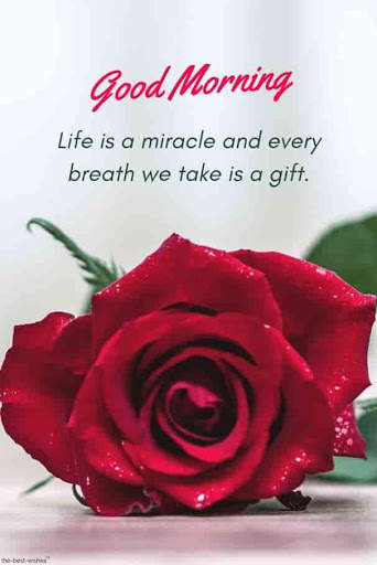 Good morning Images Gifs, Flowers Roses wallpapers screenshot 3