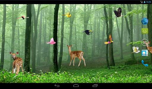 Rain Forest Live Wallpaper screenshot 5