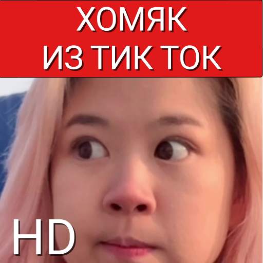 Алина Хомяк Хома Homm9k из Тик Тока Обои 1.0