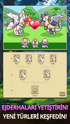 Dragon Village Collection screenshot 3