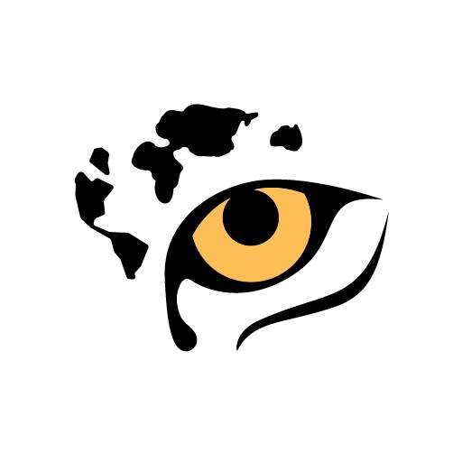 Wild Browser: safe web search 100.0.2020000105