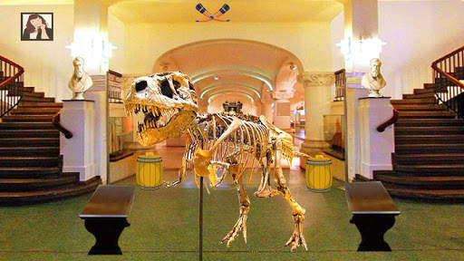 Camera Museum Escape screenshot 10