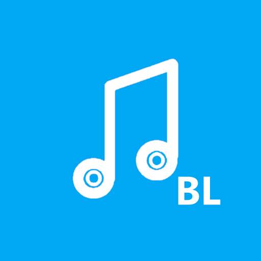 Bollywood Music 1.0