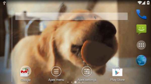 Dog Lick Screen Cleaner screenshot 3