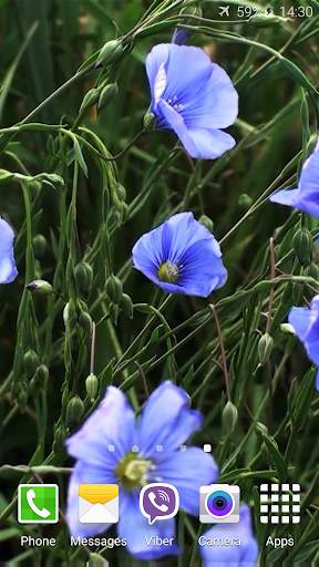 Blue Flowers Live Wallpaper screenshot 3