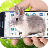 Bunny on your Screen Prank icon
