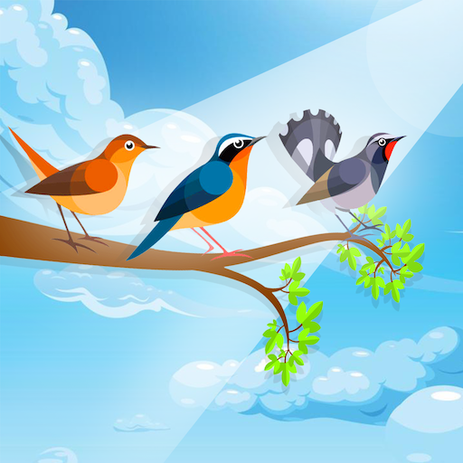 Sort Birds - Puzzle Color 3D icon