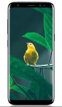 Free Nature Wallpaper screenshot 2
