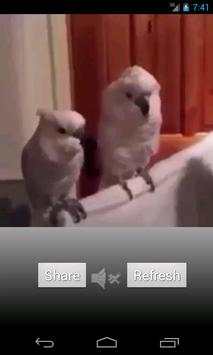 daba Video screenshot 1