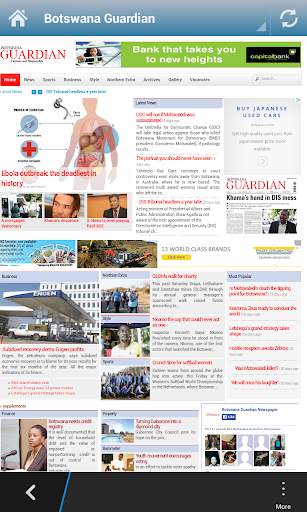 Botswana News Papers screenshot 4