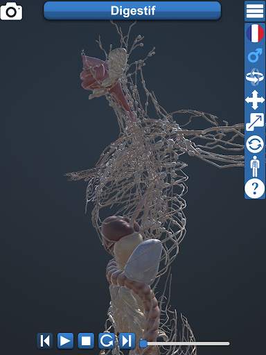 Anatomy 3D screenshot 2