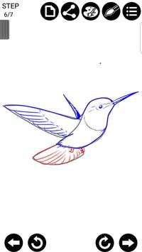 How To Draw Birds screenshot 7